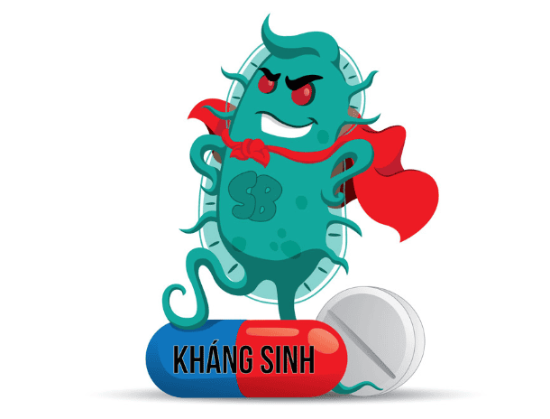 Kháng sinh đồ là gì? Đối tượng nào cần thực hiện kháng sinh đồ